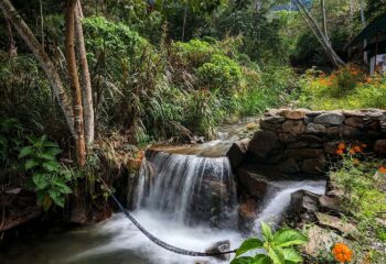 Naturaleza y caminatas