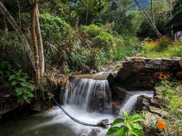 Naturaleza y caminatas
